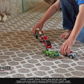 Stainmaster® PetProtect™ Carpet
