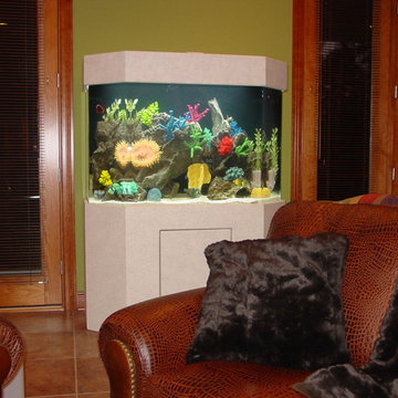 Free Standing Aquariums