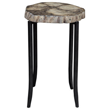 Rustic Modern Live Edge Wood Slice Accent Table Petrified Finish Free Form Gray