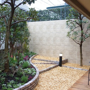 A dogs garden