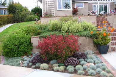 Drought tolerant and colorful!