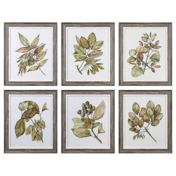 Uttermost Seedlings Framed Art Prints, Set of 6