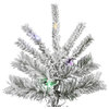 Vickerman Flocked Sierra Fir Tree, 6.5', Multicolor Led Lights