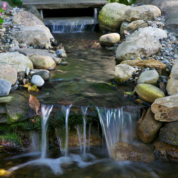 Ponds & Swimming Pools