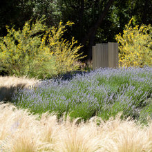 Portland landscaping