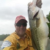 David Davis's photo