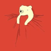 Zichan Nguyen's photo