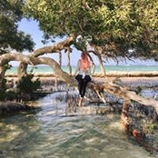 Noha Alaa's photo