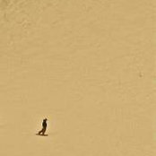 Josh Linkhart's photo