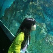 Foto de Wee Bee Jaeey Ang