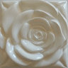 John Roza's photo