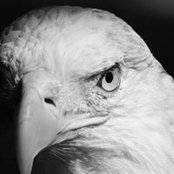Andre Luyet's photo