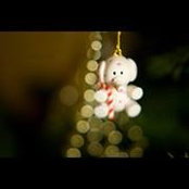 Jeanie O'Donnell's photo