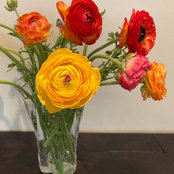 Jeanine McCarthy's photo