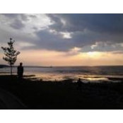 Megan Payne's photo
