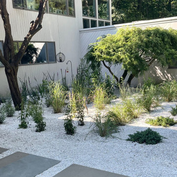 Contemporary pollinator garden