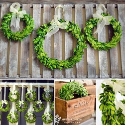 Preserved Boxwood - Products