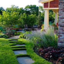 Landscape Ideas