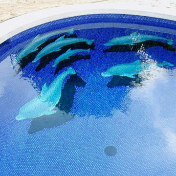 Dolphin & Shark Pool Tile