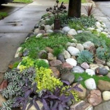mailbox landscaping