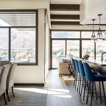 Great Room And Kitchen