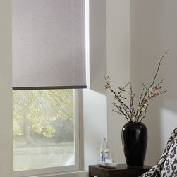 Examples of Motorized Roller Shades - Roller Shades