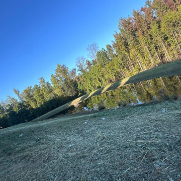 Pond Cleanup and Debris Removal