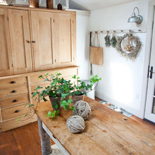 West windows, easy plants