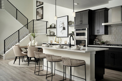 Inspiration for a kitchen remodel in Denver