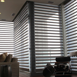 Hunter Douglas Pirouettes - Chicago - Window Treatments