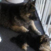 Susan Patrick's photo