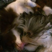 Shaun Wyckoff's photo