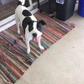 Louis Cramer's photo