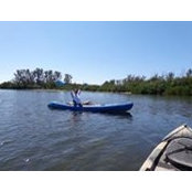 Cindy Fischer's photo