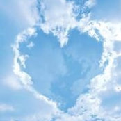 Donna Marks's photo