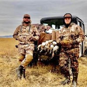 Ben Colling's photo