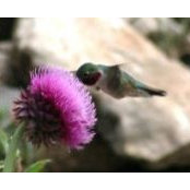 DLynne Garner's photo