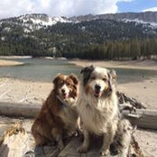 Darren Twilegar's photo