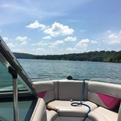 Marc Anderson's photo