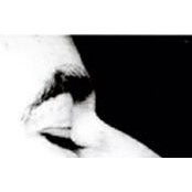 Shane McFarland's photo