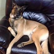 Sally Smith's photo