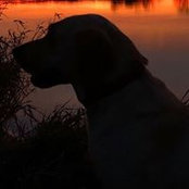Will Glendenning's photo
