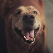 Smita Mani's photo