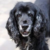 Stacie Enriquez's photo