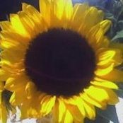 Linda James's photo