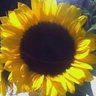 Linda James's photo