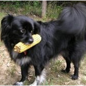 Vikki Davis's photo