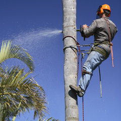 A-Able and Ready Tree Service