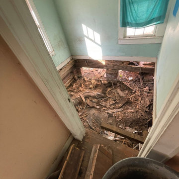 Termite Damage Is at it Again