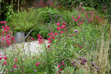 Moderner Garten hinter dem Haus in London